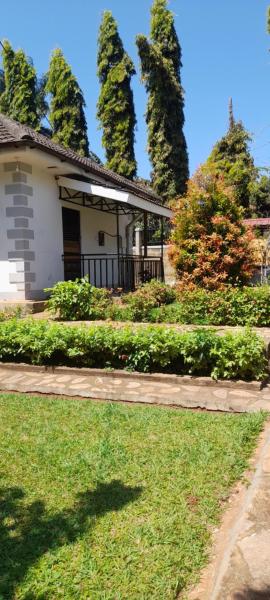 Aivilo Home